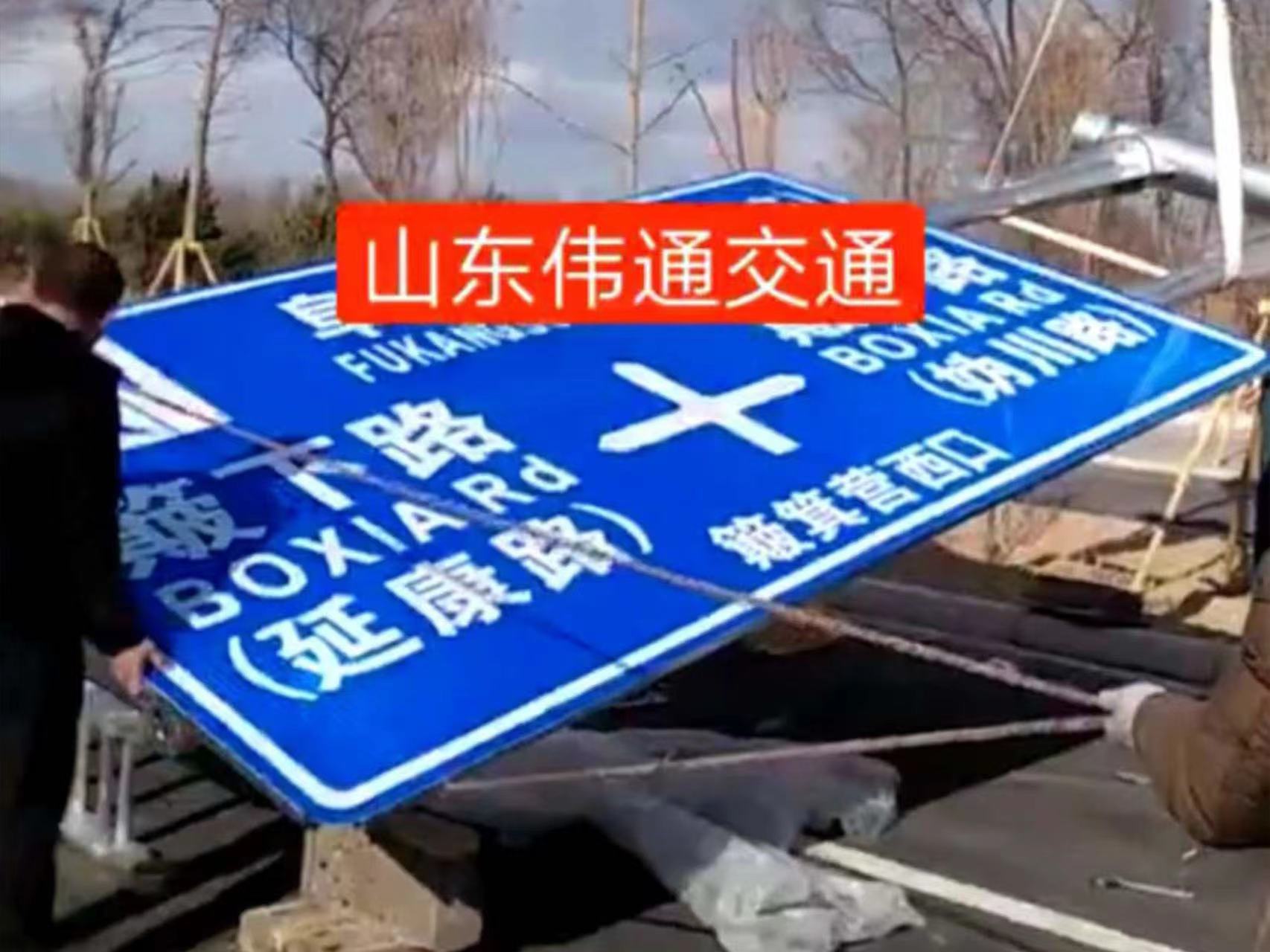 北京世园会
