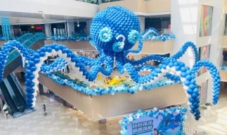 空间展示
